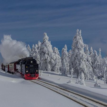 Fewo Fichte Mit Balkon #Netflix #Innestadtnaehe Von Harztraveler Бад-Гарцбург Экстерьер фото